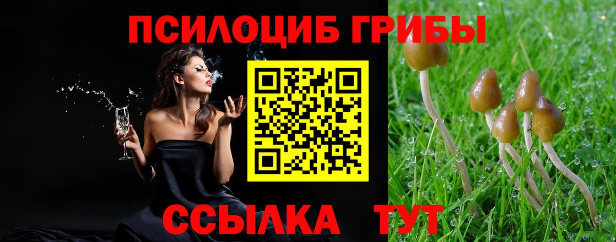 Галлюциногенные грибы MAGIC MUSHROOMS  Вход с VPN  Галлюциногенные грибы Magic Shrooms  Нальчик 